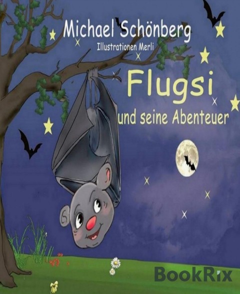 Flugsi und seine Abenteuer - Michael Schönberg