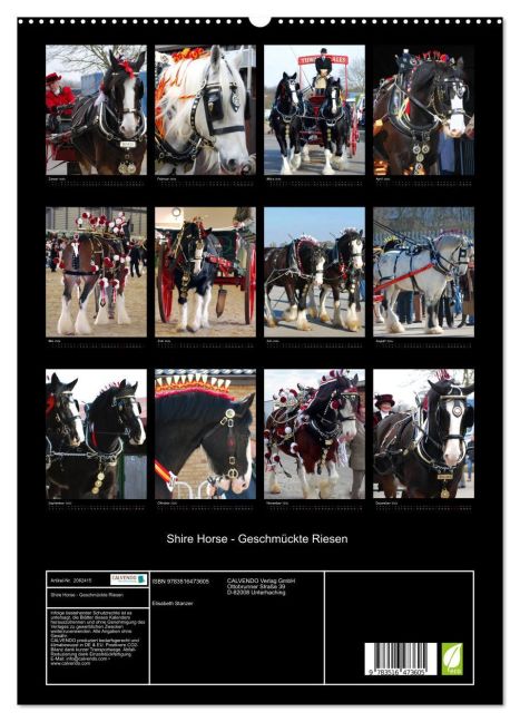InsideView 4