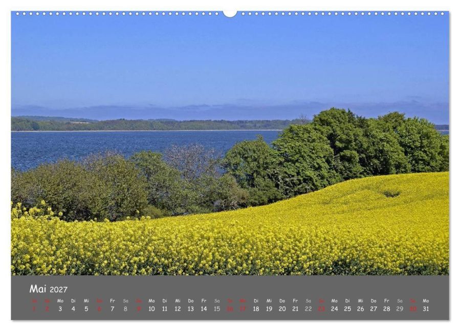 InsideView 10