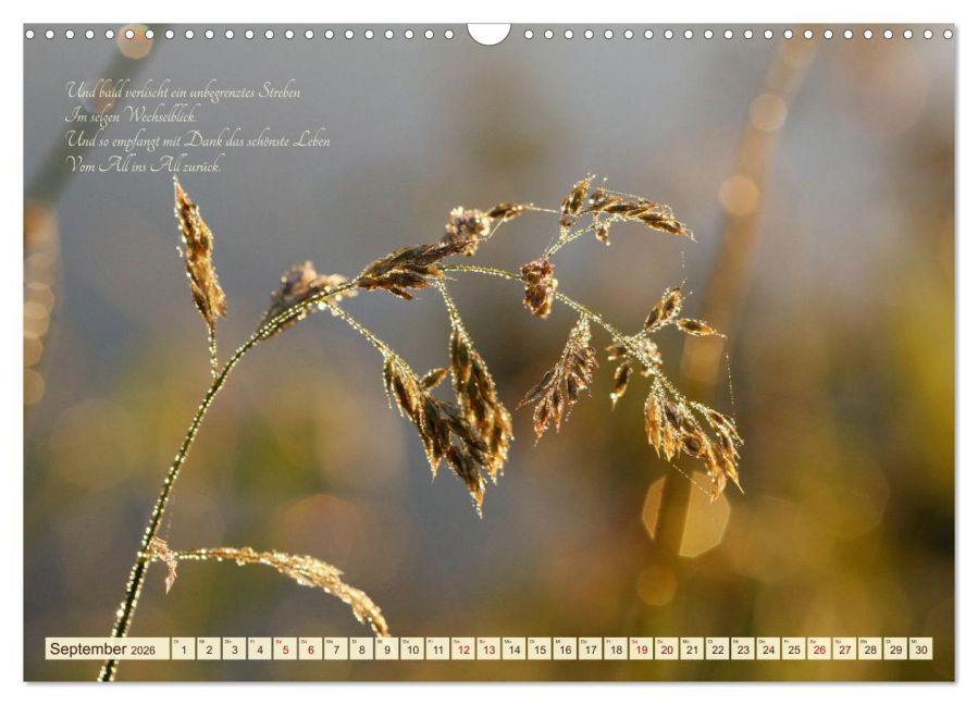 InsideView 14