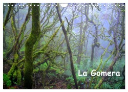 La Gomera (Wandkalender 2026 DIN A4 quer), CALVENDO Monatskalender - Manfred Betzwieser