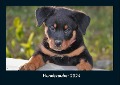 Hundezauber 2024 Fotokalender DIN A4 - Tobias Becker