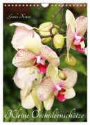 Cover-Bild zum Titel 'Kleine Orchideenschätze (Wandkalender 2026 DIN A4 hoch), CALVENDO Monatskalender' von 'Gisela Kruse'