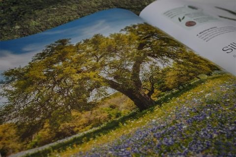 InsideView 11