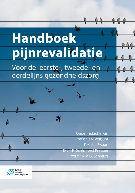 Handboek pijnrevalidatie - 