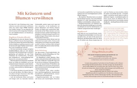 InsideView 6