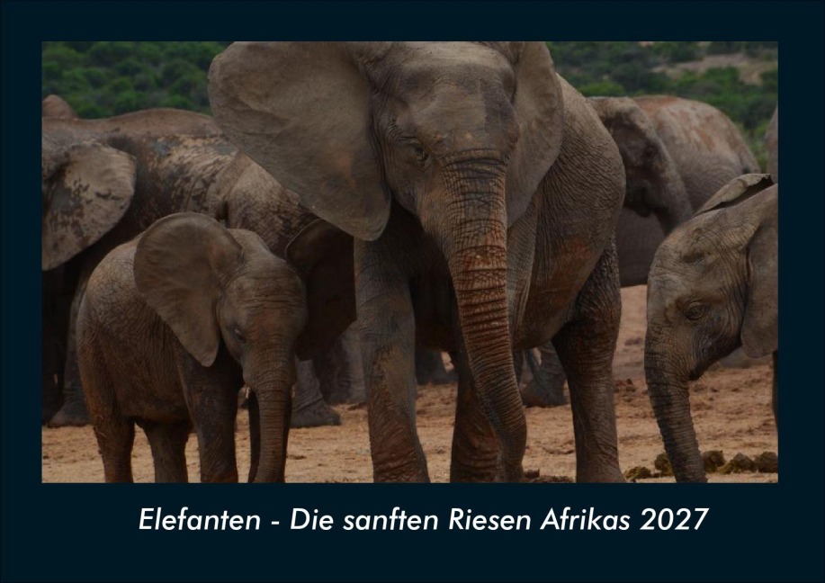 Elefanten - Die sanften Riesen Afrikas 2027 Fotokalender DIN A4 - Tobias Schmitt, Kevin Heber