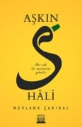 Cover-Bild zum Titel 'Askin S Hali' von 'Mevlana Cakiral'