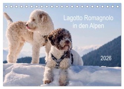Cover-Bild zum Titel 'Lagotto Romagnolo in den Alpen 2026 (Tischkalender 2026 DIN A5 quer), CALVENDO Monatskalender' von 'Wuffclick-Pic Wuffclick-Pic'