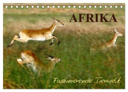 Afrika - Faszinierende Tierwelt (Tischkalender 2025 DIN A5 quer), CALVENDO Monatskalender - Nadine Haase