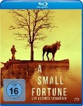 Cover-Bild zum Titel 'A Small Fortune - Ein kleines Vermögen' von 'Adam Perry, Andrew Staniland'