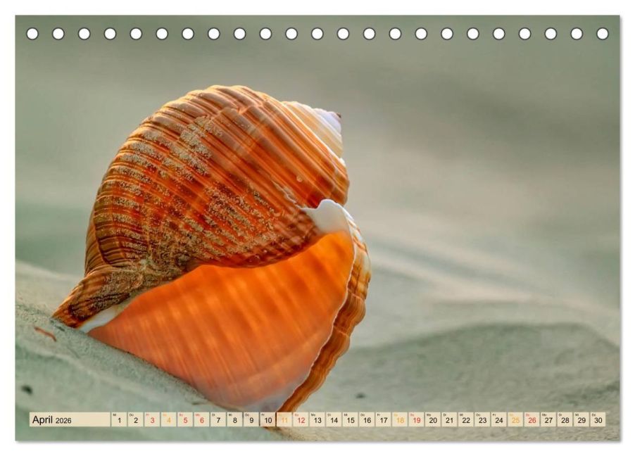 InsideView 9
