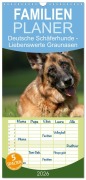 Familienplaner 2026 - Deutsche Schäferhunde - Liebenswerte Graunasen mit 5 Spalten (Wandkalender, 21 x 45 cm) CALVENDO - Petra Schiller
