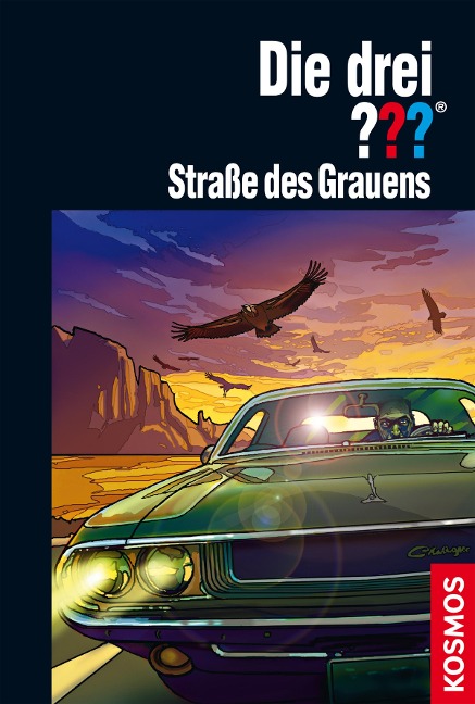 Die drei ??? Straße des Grauens (drei Fragezeichen) - Kari Erlhoff