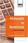 Cover-Bild zum Titel 'Muhasebe ve Denetimde Güncel Konular' von 'Aysel Öztürkcü Akcay'