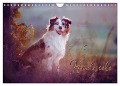 Hundeseele (Wandkalender 2025 DIN A4 quer), CALVENDO Monatskalender - Katrin Buttkau