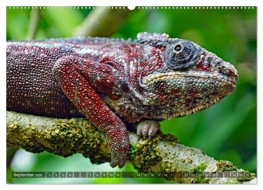 InsideView 13