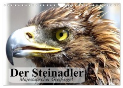 Cover-Bild zum Titel 'Der Steinadler. Majestätischer Greifvogel (Wandkalender 2026 DIN A4 quer), CALVENDO Monatskalender' von 'Elisabeth Stanzer'