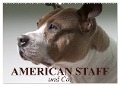 American Staff und Co. (Wandkalender 2025 DIN A2 quer), CALVENDO Monatskalender - Elisabeth Stanzer