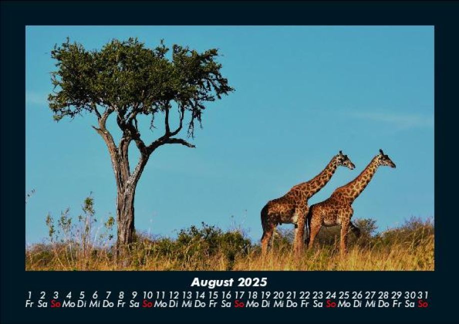 InsideView 12