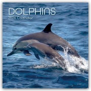 Dolphins - Delfine - Delphine 2026 - 16-Monatskalender - The Gifted