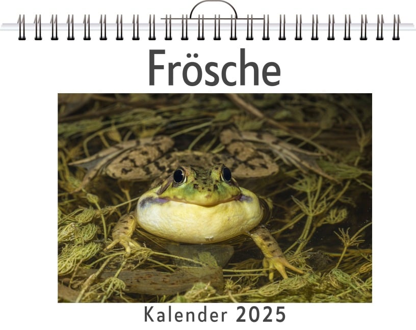 Frösche - Henry Koch