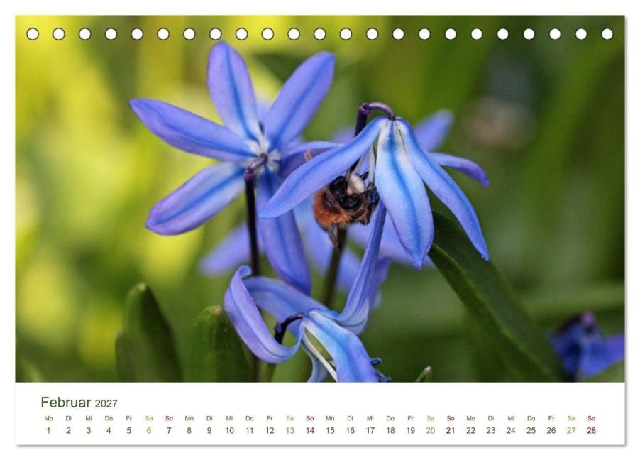 InsideView 7