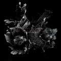 Cover-Bild zum Titel 'Love & Decay' von 'Spotlights'