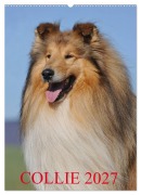 Cover-Bild zum Titel 'Collie 2027 (Wandkalender 2027 DIN A2 hoch), CALVENDO Monatskalender' von 'Sigrid Starick'