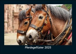 Cover-Bild zum Titel 'Pferdegeflüster 2025 Fotokalender DIN A5' von 'Tobias Becker'