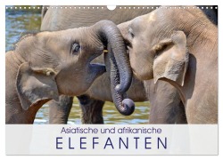 Cover-Bild zum Titel 'Asiatische und afrikanische Elefanten (Wandkalender 2026 DIN A3 quer), CALVENDO Monatskalender' von 'Elisabeth Stanzer'