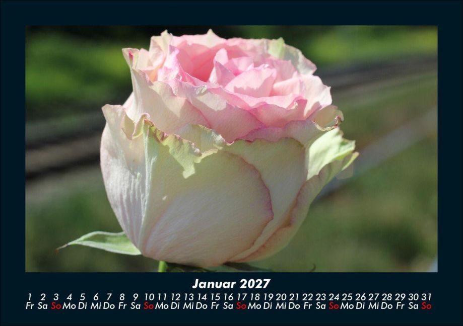InsideView 5