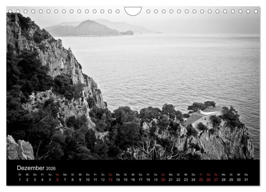 InsideView 4