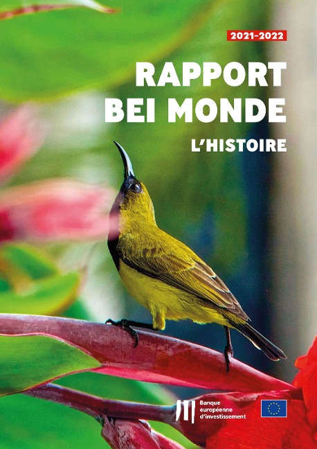 Rapport « BEI Monde - L'histoire » - 