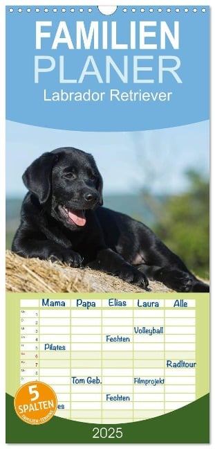 Familienplaner 2025 - Labrador Retriever 2025 mit 5 Spalten (Wandkalender, 21 x 45 cm) CALVENDO - Sigrid Starick