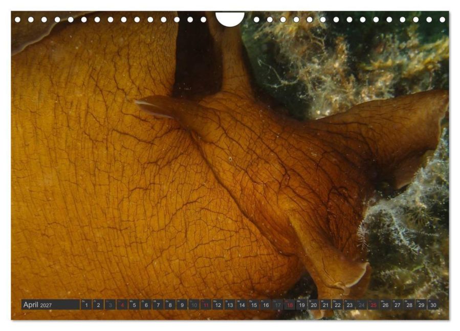 InsideView 9