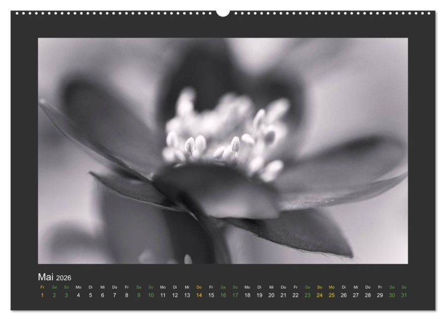 InsideView 9