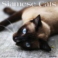 Siamese Cats 2024 12 X 12 Wall Calendar - Willow Creek Press