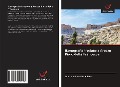 Cover-Bild zum Titel 'Ikonografia fresków z Arezzo Piero della Francesca' von 'Laurie Schneider Adams'