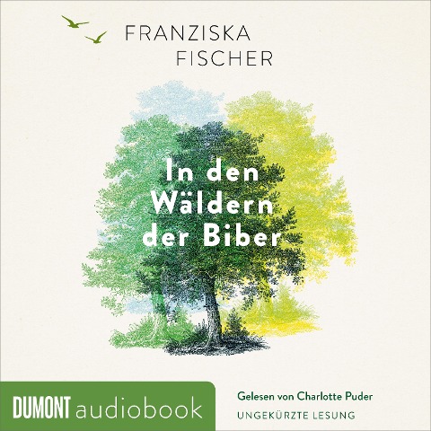 In den Wäldern der Biber - Franziska Fischer