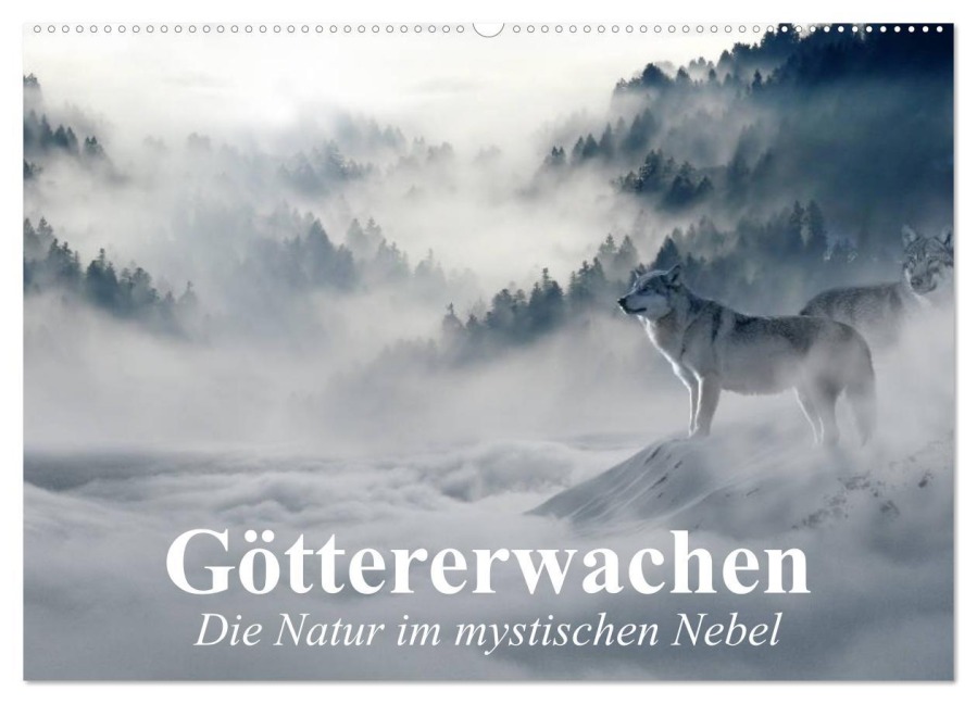 Göttererwachen. Die Natur im mystischen Nebel (Wandkalender 2025 DIN A2 quer), CALVENDO Monatskalender - Elisabeth Stanzer