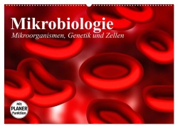 Mikrobiologie. Mikroorganismen, Genetik und Zellen (Wandkalender 2026 DIN A2 quer), CALVENDO Monatskalender - Elisabeth Stanzer