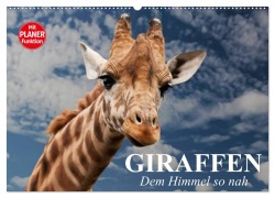 Giraffen. Dem Himmel so nah (Wandkalender 2025 DIN A2 quer), CALVENDO Monatskalender - Elisabeth Stanzer
