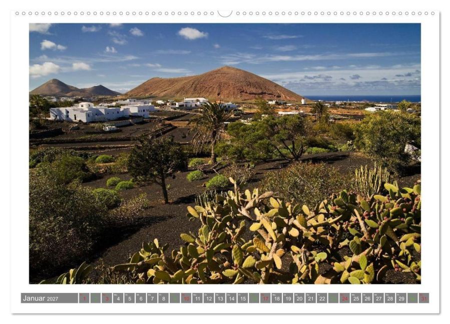 InsideView 5