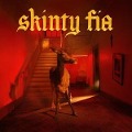 Cover-Bild zum Titel 'Skinty Fia' von 'Fontaines D. C.'