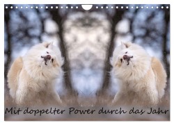 Cover-Bild zum Titel 'Mit doppelter Power durch das Jahr (Wandkalender 2026 DIN A4 quer), CALVENDO Monatskalender' von 'Monika Scheurer'