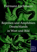 Cover-Bild zum Titel 'Reptilien und Amphibien Deutschlands in Wort und Bild' von 'Hermann Lachmann'