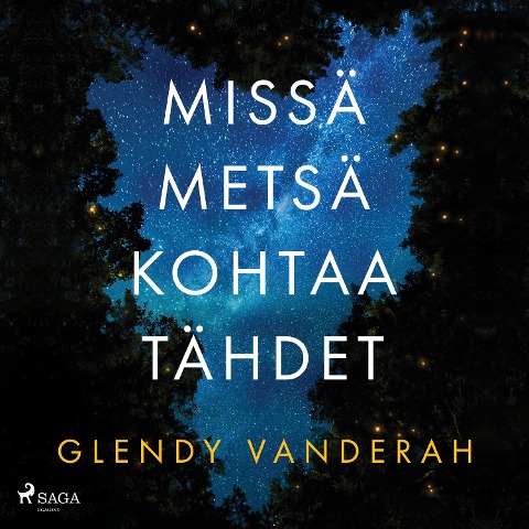 Missä metsä kohtaa tähdet - Glendy Vanderah