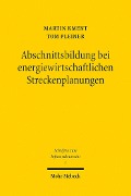 Cover-Bild zum Titel 'Abschnittsbildung bei energiewirtschaftlichen Streckenplanungen' von 'Martin Kment, Tom Pleiner'