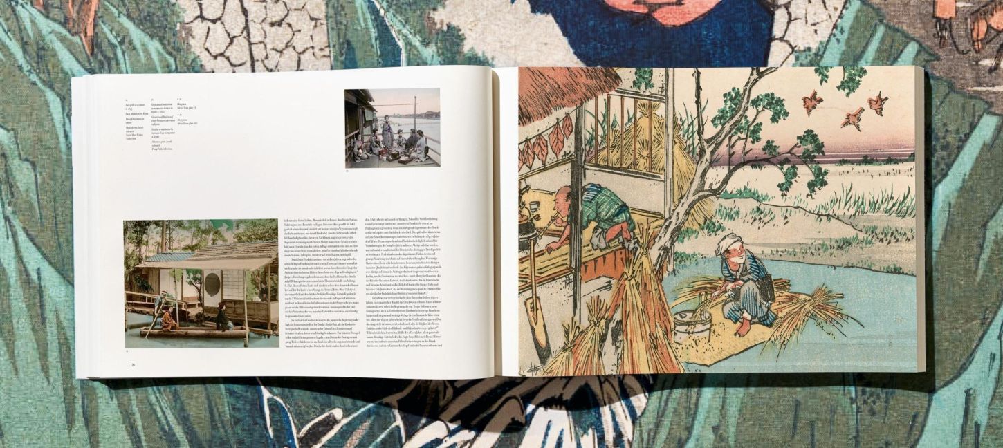 InsideView 13